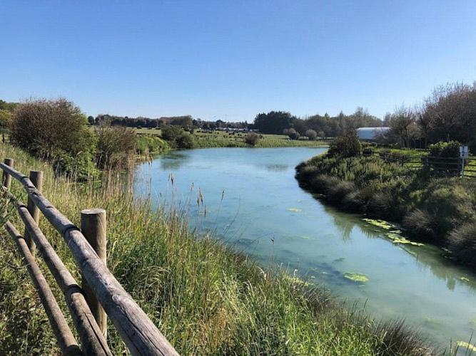 Le Cocon De Nacre - A 300M De La Plage - Wifi Courseulles-sur-Mer Luaran gambar
