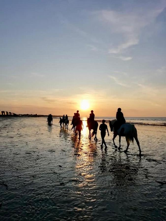 Le Cocon De Nacre - A 300M De La Plage - Wifi Courseulles-sur-Mer Luaran gambar